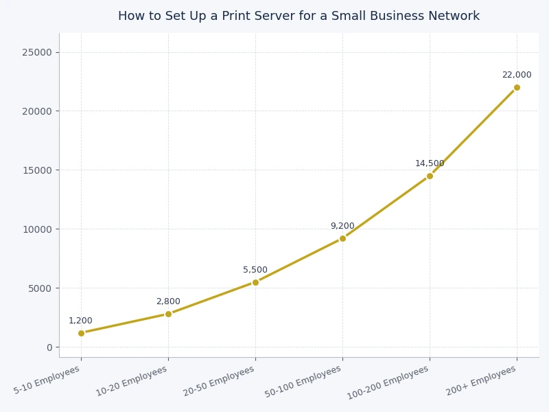 comparison chart of print server types by cost setup difficulty and user capacity for small business networks
